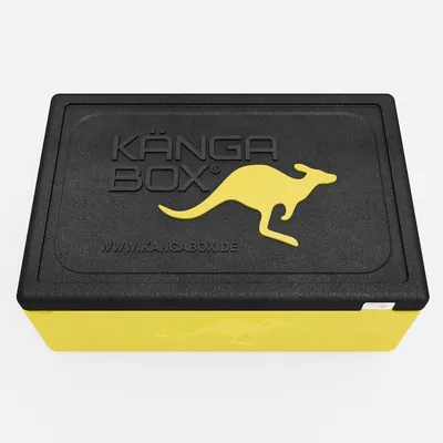 Thumbnail Kängabox Expert GN 1/1 lemon 30l pic-5