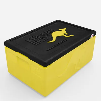 Thumbnail Kängabox Expert GN 1/1 lemon 39l pic-1
