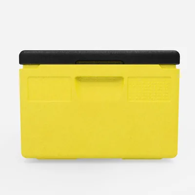 Thumbnail Kängabox Expert GN 1/1 lemon 39l pic-4