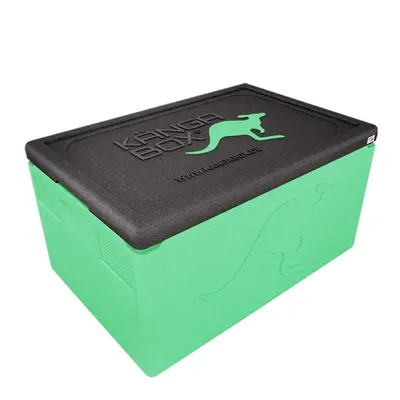 Professional – lime – 48 L – Bild 1