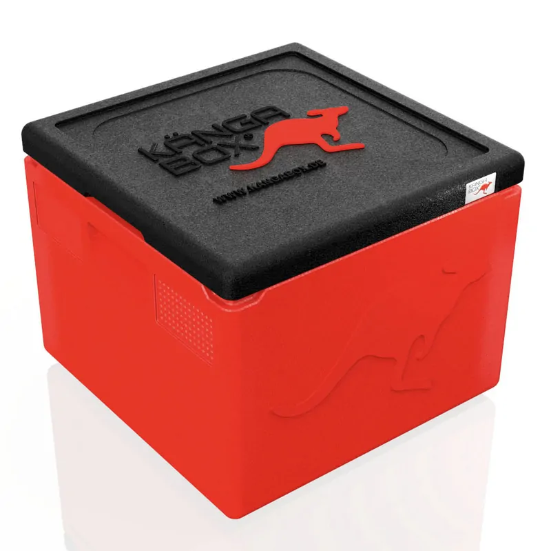 Kängabox Easy rot 32l pic-1
