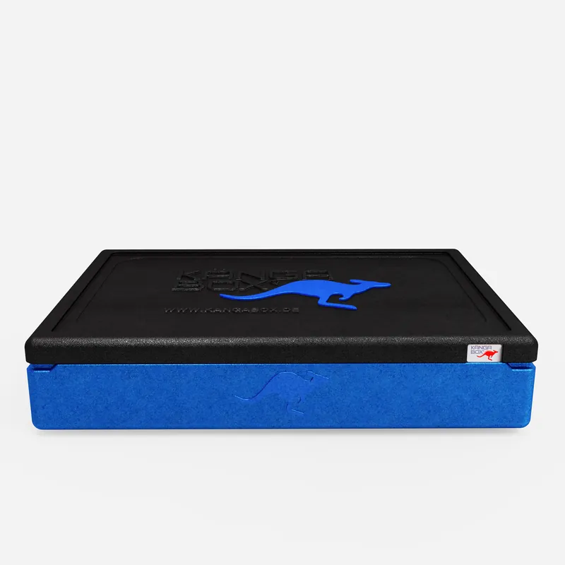 Kängabox Expert GN 1/1 blau 21l pic-3