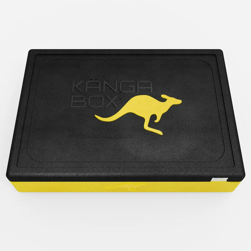 Kängabox Expert GN 1/1 lemon 21l pic-5