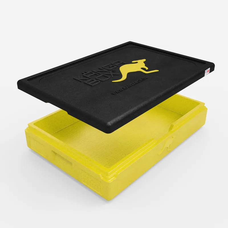 Kängabox Expert GN 1/1 lemon 21l pic-2