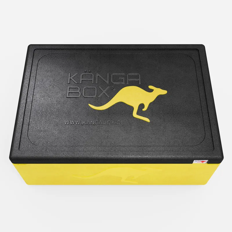 Kängabox Expert GN 1/1 lemon 53l pic-5