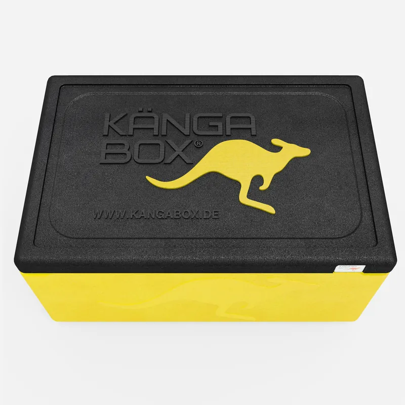 Kängabox Expert GN 1/1 lemon 80l pic-5