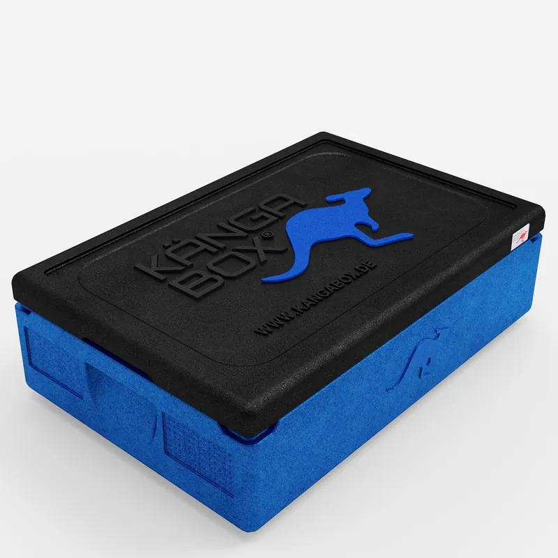Kängabox Expert GN 1/1 blau 21l pic-1