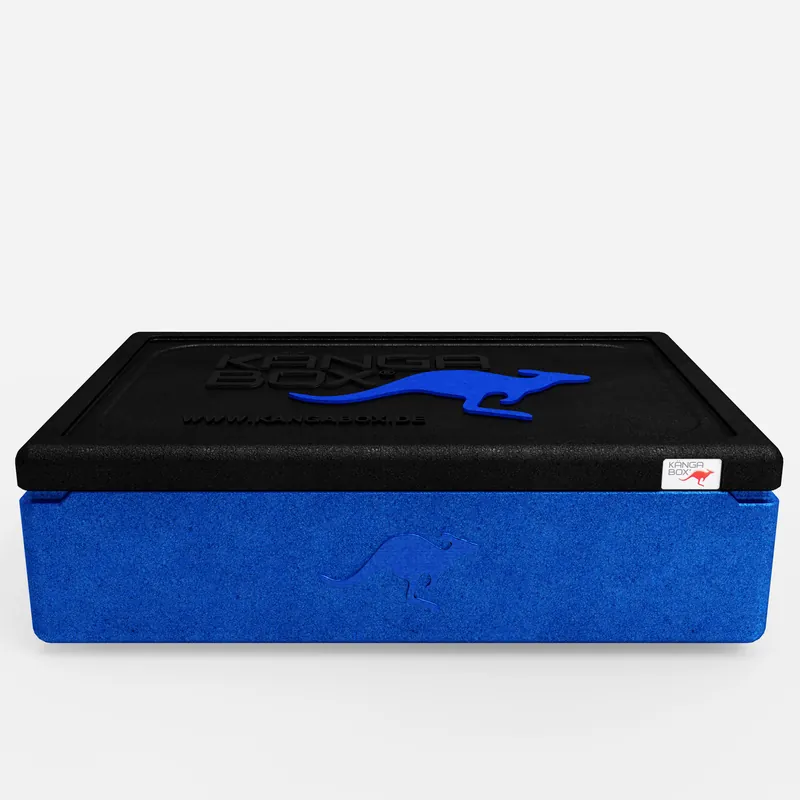 Kängabox Expert GN 1/1 blau 21l pic-3
