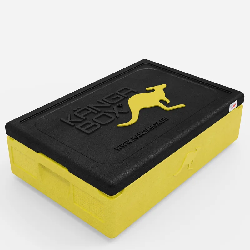 Kängabox Expert GN 1/1 lemon 21l pic-1