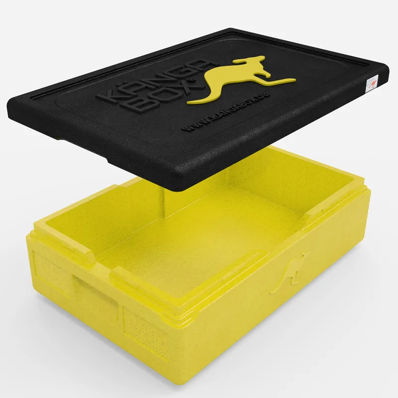 Kängabox Expert GN 1/1 lemon 21l pic-2