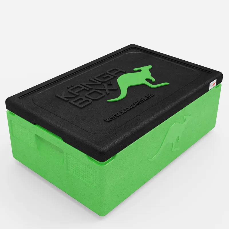 Kängabox Expert GN 1/1 lime 30l pic-1