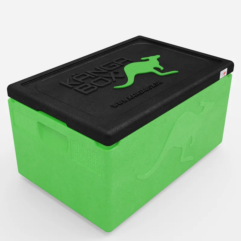 Kängabox Expert GN 1/1 lime 46l pic-1