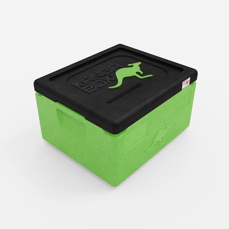 Kängabox Expert GN 1/1 lime 15l pic-1