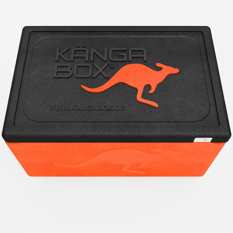Kängabox Expert GN 1/1 orange 10l pic-5