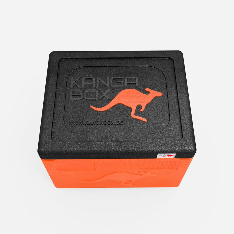 Kängabox Expert GN 1/1 orange 19l pic-5